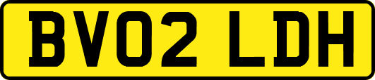 BV02LDH
