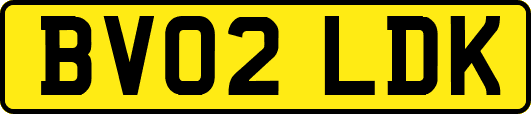 BV02LDK