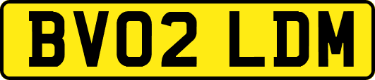 BV02LDM