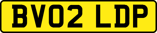 BV02LDP