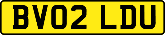 BV02LDU