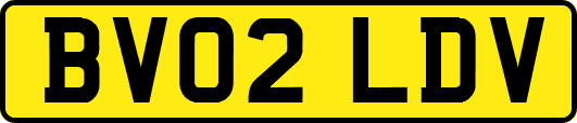 BV02LDV