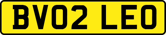 BV02LEO