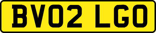 BV02LGO