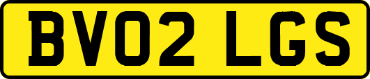 BV02LGS