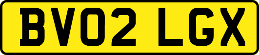 BV02LGX