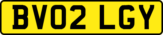 BV02LGY