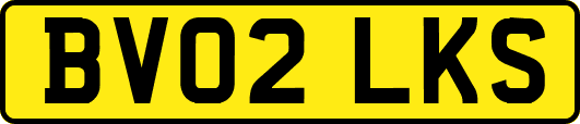 BV02LKS
