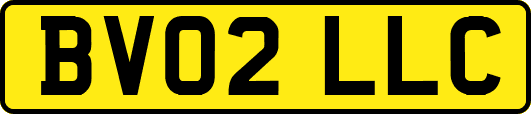 BV02LLC