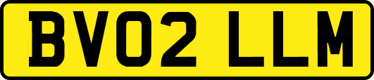 BV02LLM