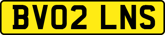 BV02LNS