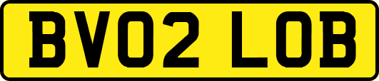 BV02LOB