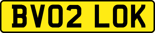 BV02LOK