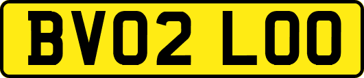 BV02LOO