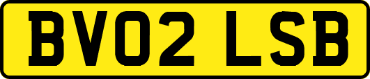 BV02LSB