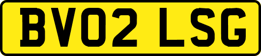 BV02LSG