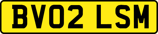 BV02LSM