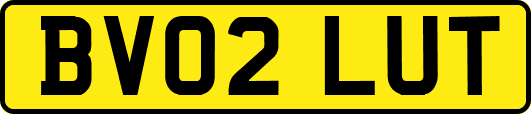 BV02LUT
