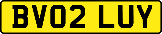 BV02LUY