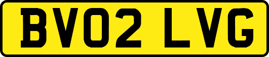 BV02LVG