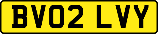 BV02LVY
