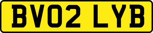 BV02LYB