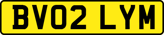 BV02LYM