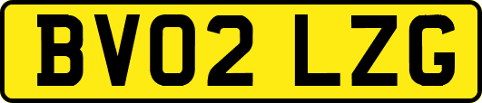 BV02LZG