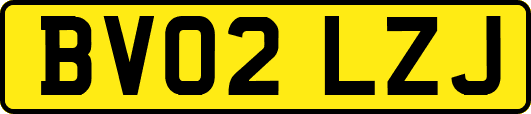 BV02LZJ
