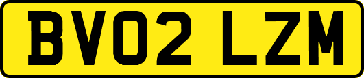 BV02LZM