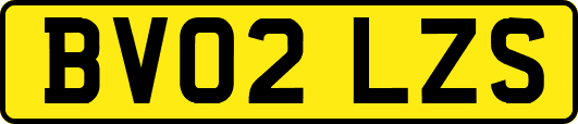 BV02LZS