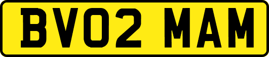 BV02MAM