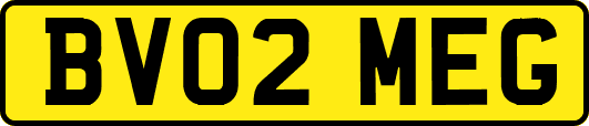 BV02MEG