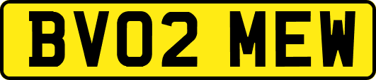 BV02MEW