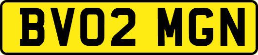 BV02MGN