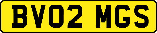 BV02MGS
