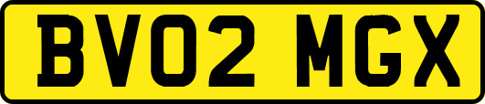 BV02MGX