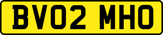 BV02MHO