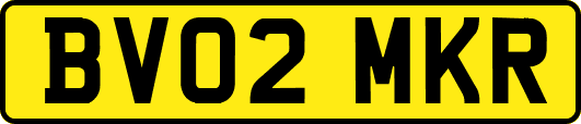 BV02MKR