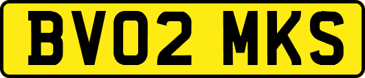 BV02MKS