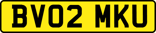 BV02MKU