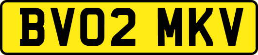 BV02MKV