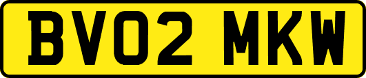 BV02MKW