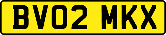 BV02MKX