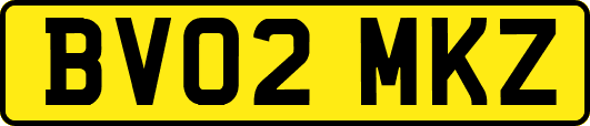 BV02MKZ