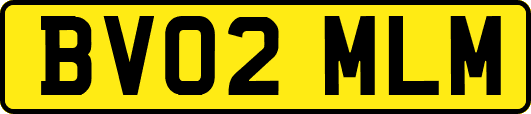BV02MLM