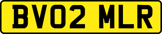 BV02MLR