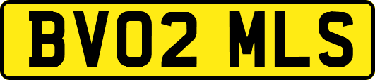 BV02MLS