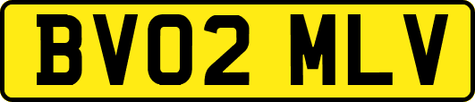 BV02MLV