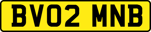 BV02MNB
